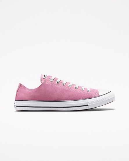 Pánské Boty Nízké Converse Chuck Taylor All Star Seasonal Color Růžové | CZ YJLG94